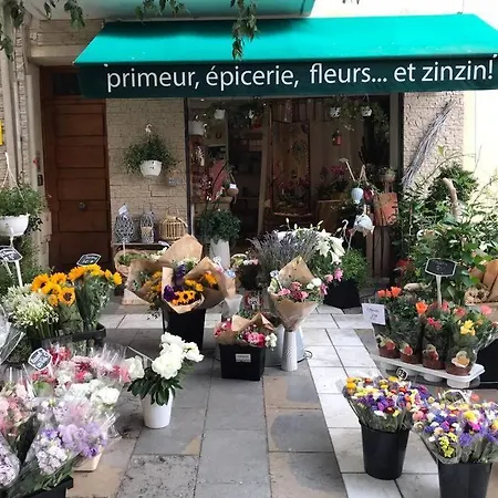 La Petite Oasis, Newly Renovated